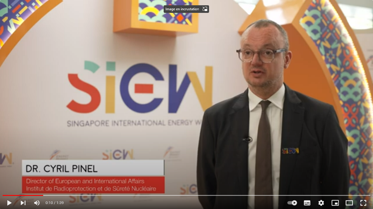 Cyril Pinel, Director of European and International Affairs, IRSN